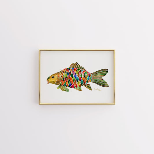 Carp