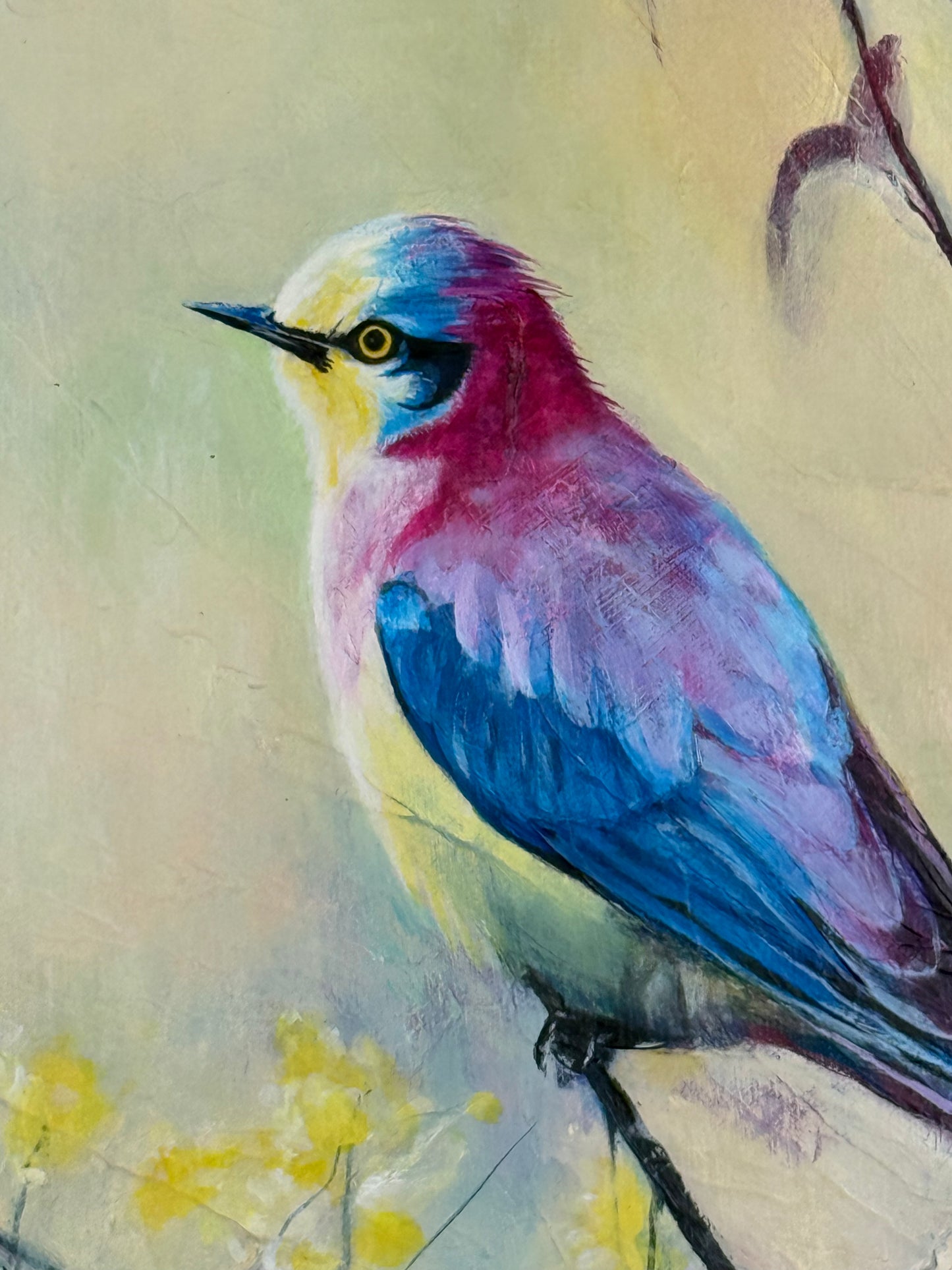 A Bird Study 2